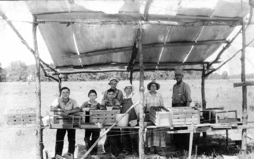 Johnston Family Strawberry shed Kinmundy
