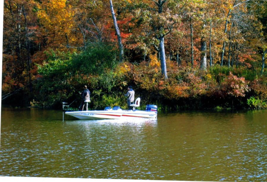 Forbes State Park - Kinmundy