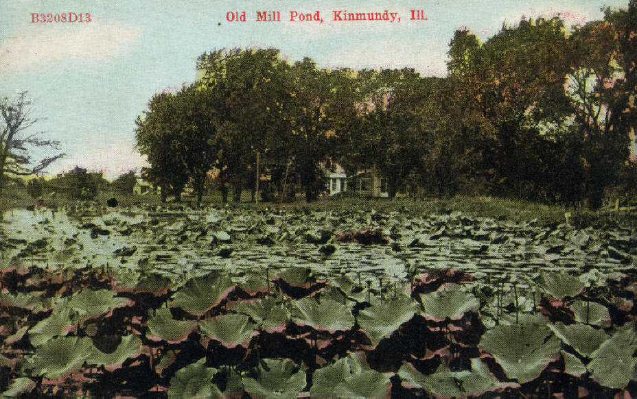 Old Mill Pond - Kinmundy