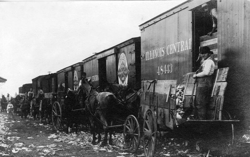 Train in Kinmundy or Alma, Illinois